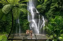 Bali Waterfall Tour – Hidden Waterfalls Private & All-Inclusive