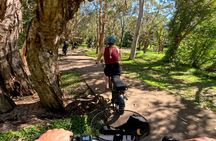 Self Guided Fat Bike Adventure on Noosa North Shore