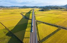 Seoul to Busan or Busan to Seoul: Private Gyeongju KTX Stopover