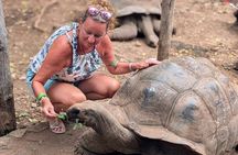 Stone Town & Prison Island Tour with Giant Tortoises
