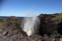 Sydney South Coast Day Tour Wildlife, Kiama Blowhole, Gerringong