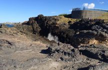 Sydney South Coast Day Tour Wildlife, Kiama Blowhole, Gerringong