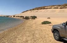Private Fayoum Day Trip Whale Valley and Wadi El Rayan
