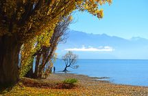 2 Day Glaciers & TranzAlpine Train: Queenstown to Christchurch
