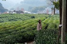 Hangzhou Longjing Tea Plantation & Village Private Half-Day Tour