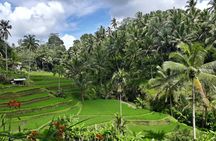 Ubud Private Day Tour with Local Guide