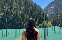 1 Day Tour Kolsai Lake Kaindy Lake and Charyn Canyon