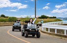 Mt. Fuji & Ocean Views Go-Kart Style EV Tour in Miura near Tokyo