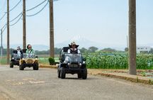 Mt. Fuji & Ocean Views Go-Kart Style EV Tour in Miura near Tokyo