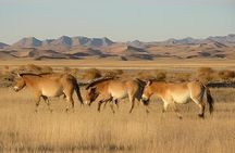 3 Days Khustai and Terelj National parks tour