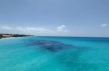 Underwater shipwreck snorkeling- hidden gem
