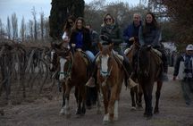 Horseback vineyards Riding, Culinary Experience at Bodega Bandini