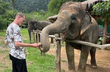 Koh Lanta Elephant Experience with Hotel Transfer