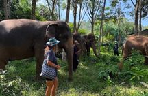 Koh Lanta Elephant Experience with Hotel Transfer