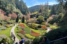Private Deluxe Tour of Victoria & to Butchart Gardens (5 hrs)