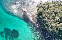 Sydney Family Snorkelling Eco Tour