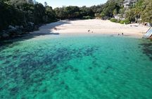 Sydney Family Snorkelling Eco Tour