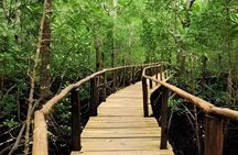 Full Day Zanzibar Tour Jozani Forest Spice Farm and Stone Town