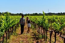 Mallorca Winery tour and tasting of 5 wines with tapas