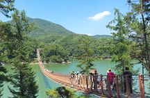 Beyond the DMZ: Private Tour from Seoul & Suspension Bridge