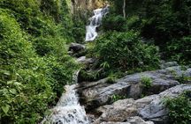 Khao Yai National Park Day Tour with Kayaking and Night Safari
