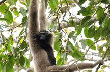 Khao Yai National Park Day Tour with Kayaking and Night Safari