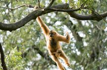 Khao Yai National Park Day Tour with Kayaking and Night Safari