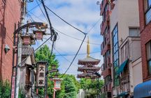 Tokyo Private Tour: Temples, Culture & Modern City Highlights