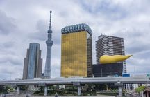 Tokyo Private Tour: Temples, Culture & Modern City Highlights