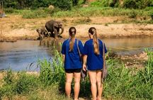 3-in-1: Doi Inthanon Tour, Elephant Sanctuary, and Trekking Trail