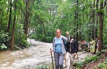 3-in-1: Doi Inthanon Tour, Elephant Sanctuary, and Trekking Trail
