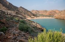 3-Hour Private Dolphin Watching & Snorkeling Tour in Muscat