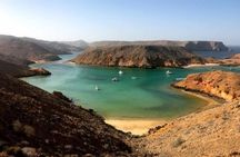 3-Hour Private Dolphin Watching & Snorkeling Tour in Muscat