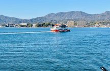 Miyajima Half Day Private Tour from Hiroshima Station