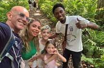 Zanzibar Day Tour Jozani Forest Spice Farm and Stone Town
