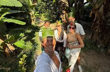 Zanzibar Day Tour Jozani Forest Spice Farm and Stone Town