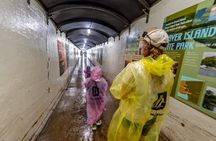 Niagara Falls USA Highlights Tour with Cave of the Winds
