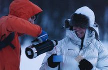 Tromsø: Explore Tromsøya on Snowshoes with a Local Guide