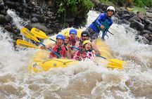 Balsa River White Water Rafting class 2/3 in Costa Rica
