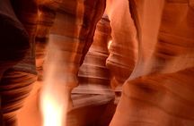 Upper Antelope Owl and Rattlesnake Canyons Tour