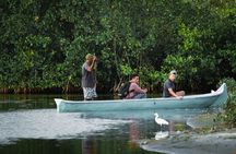 Explore La Boquilla’s Mangrove Tunnels with Local Fishermen