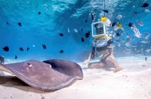 Helmet Diving Bora Bora – Underwater Walk with Aqua Safari