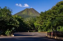 Rainforest Falls& Volcano Hike + Paradise Hot Springs