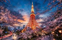 Private Evening Walk in Tokyo with Tower Views and Local Cuisine