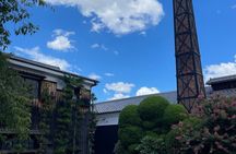 Walk with a Tea Host: Sake Brewery or Fushimi Inari & Machiya Tea