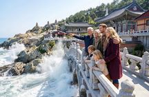 Shared or Private Busan Shore Excursion w Guaranteed Sky Capsule