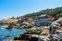 Shared or Private Busan Shore Excursion w Guaranteed Sky Capsule