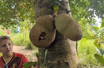 Full Day Zanzibar Tour Jozani Forest Spice Farm and Stone Town