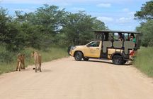 Kruger Safari Tour Extended Full Day