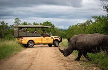 Kruger Safari Tour Extended Full Day